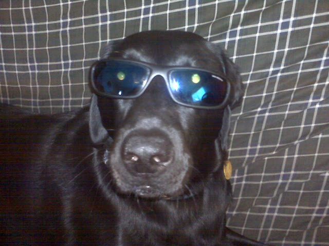 IMG00137.jpg