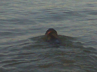 IMG00101.jpg