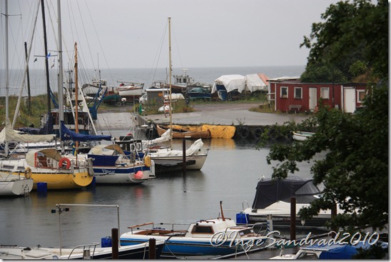 IMG_6589 IMG_6589