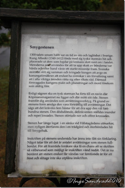 IMG_6590 IMG_6590