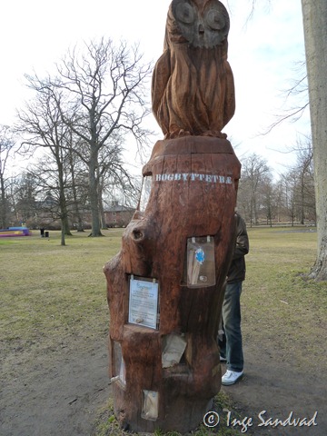 [P1030655[4].jpg]