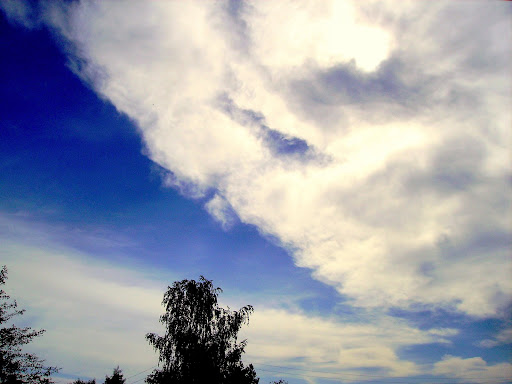 Зуб даю на отсечение