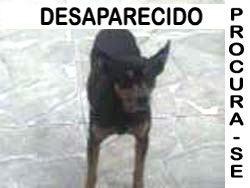 [p14_leonardo[2].jpg]