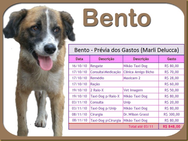 bento_g0311 bento_g0311