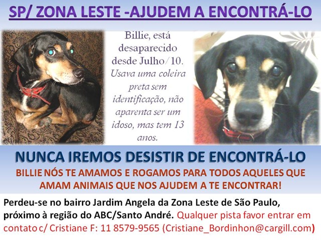 [billie_procura_se[3].jpg]