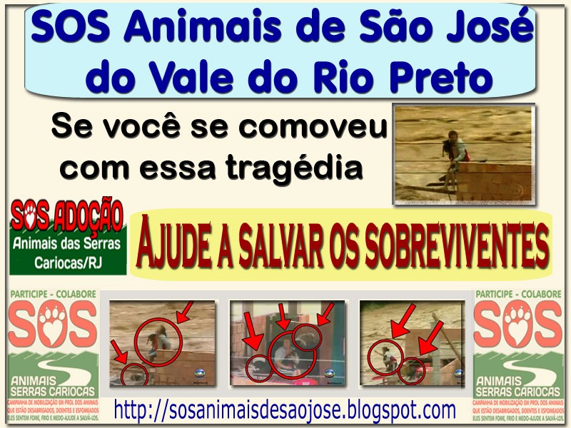 [sosanimaissaojose[3].jpg]