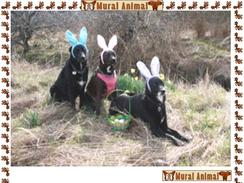 [ma_pascoa (12)[3].jpg]