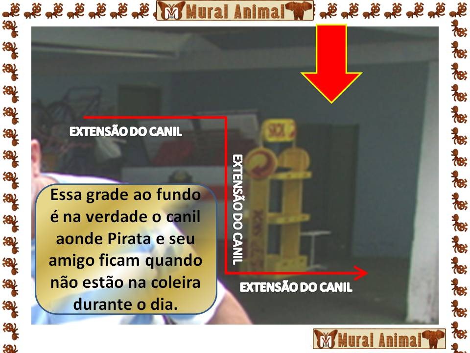 [cao_pirata04[3].jpg]