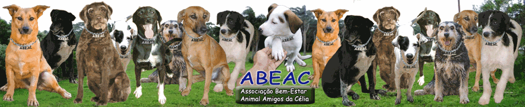 [abeac_banner[3].gif]