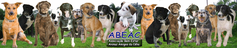 abeac_banner abeac_banner