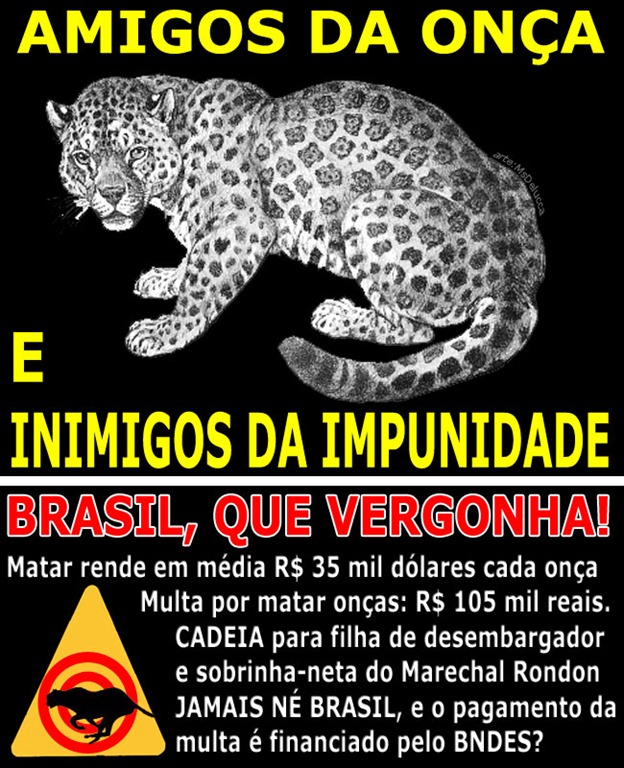 [amigosdaonca[3].jpg]