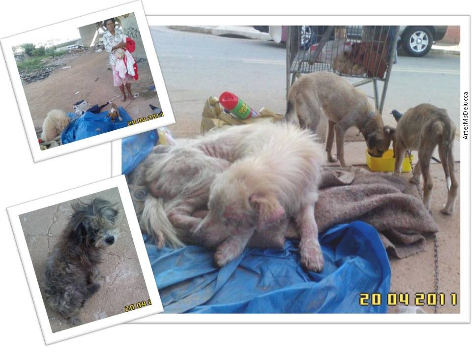 [abeac_resgate7-13.jpg]