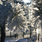 Winterwonderland.