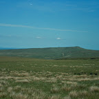 Moors.