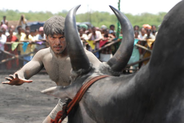 Allu Arjun Varudu