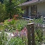 The Sycamore Retreat's extensive gardens attract lots of wildlife.