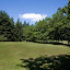 The great lawn.