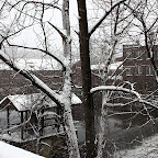 Collins Ax Factory Winter