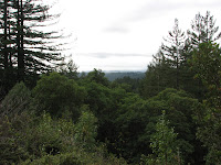 IMG_7614.JPG