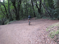 IMG_7607.JPG