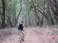 IMG_7611.JPG