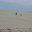 Sand, Sand, Sand