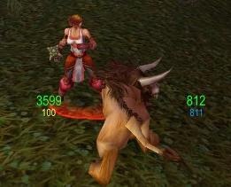 [World-of-Warcraft-addon[2].jpg]