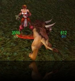 World-of-Warcraft-addon