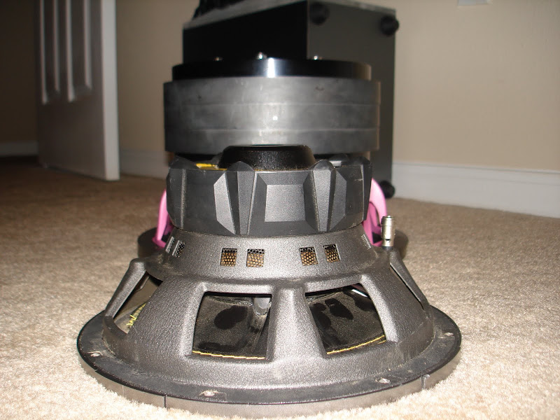 audio%20pics%20244.jpg