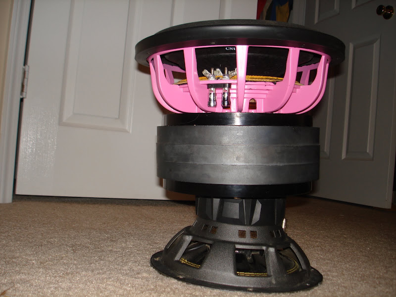 audio%20pics%20247.jpg