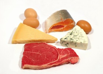 protein protein