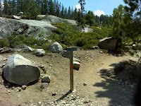 DSC00009.JPG Photo