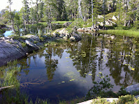 DSC00055.JPG