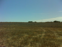 DSC01073.JPG Photo