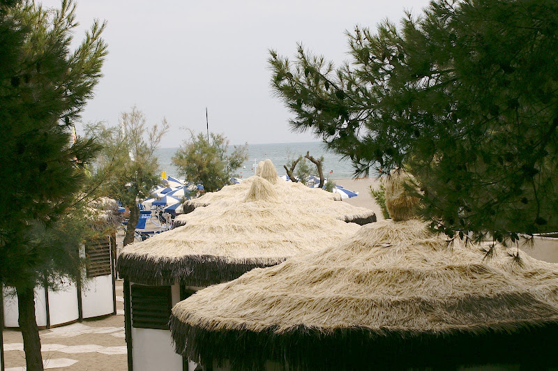 PICT0034.jpg