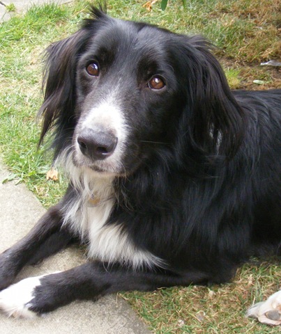 [Copy of Mack monday gdn cropped[2].jpg]