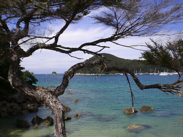 New Zealand