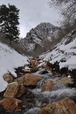 [canyonshots 092[4].jpg]