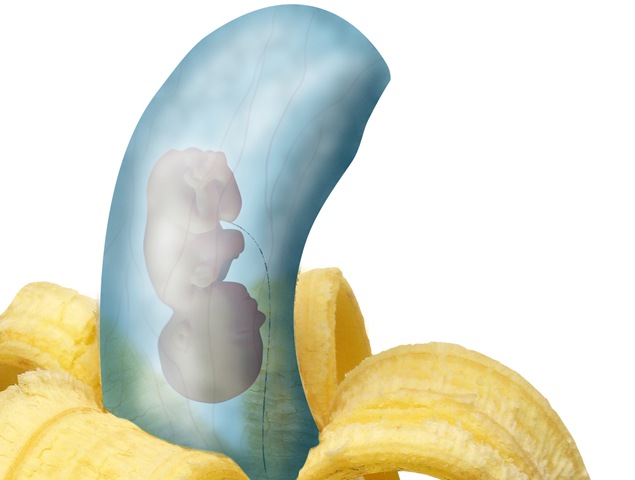 [banana baby[3].jpg]
