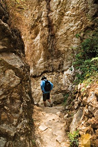 The path back 