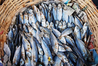 Smoked Fish Being Sold at Ortiz Wharf in Iloilo