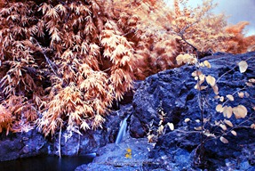 Wawa Waterfalls in Infrared Light