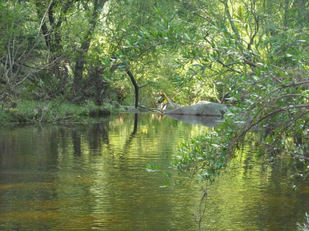 [lake cordoba[8].jpg]