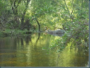 lake cordoba