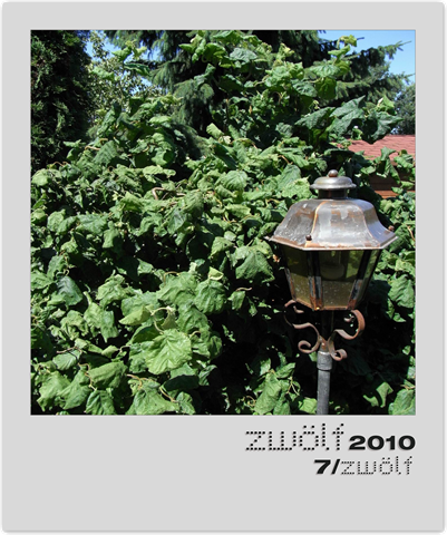 [7-zwoelf2010-polaroid[5].png]