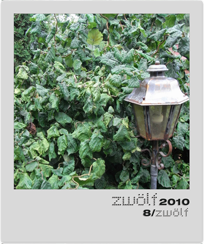 [8zwoelf2010polaroid4.png]