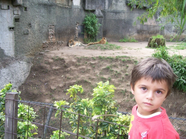  Photo Friday   La Aurora Zoo in Guatemala Will Suprise You 