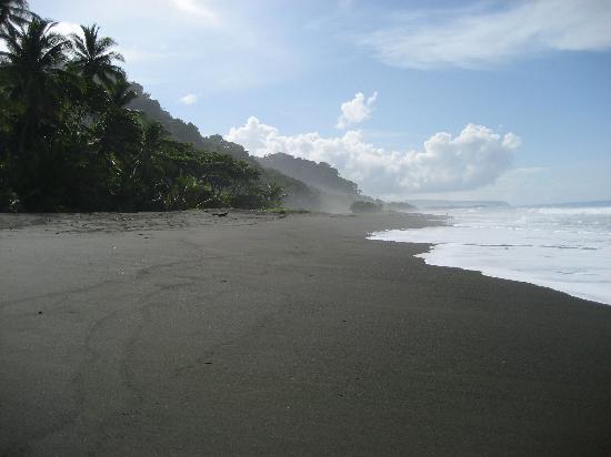 Black sand beach in Corcovado National Park, costa rica