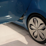 IMG_9847.jpg