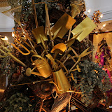 IMG_3260.JPG